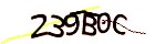 Mã bảo mật